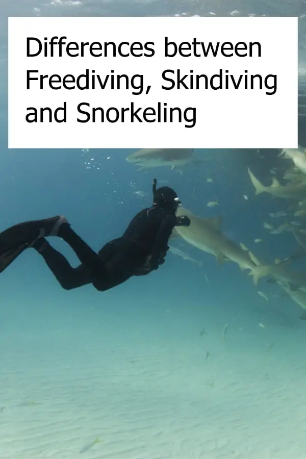 Freediving vs Skin Diving vs Snorkeling - What are the differences?