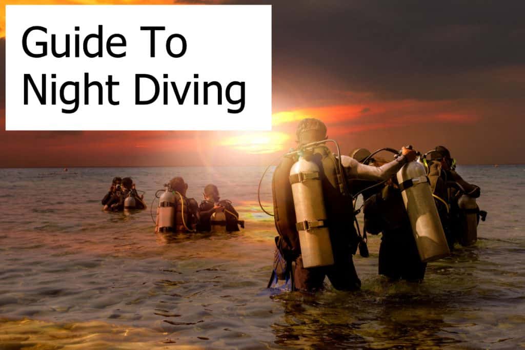 Night Diving - Mysterious and Fascinating. A complete in-depth guide on how to dive at night!