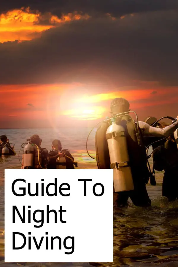 Night Diving - Mysterious and Fascinating. A complete in-depth guide on how to dive at night!