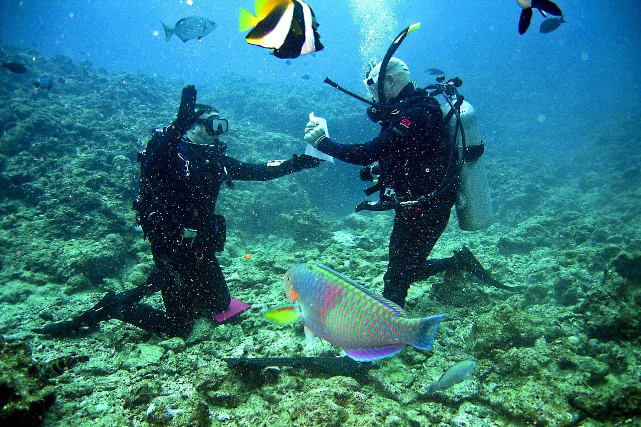 Divers communicating underwater