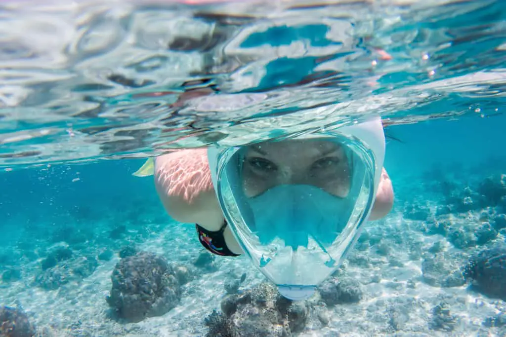 Should you Buy a Full Face Snorkel Mask? Scuba Diving Gear