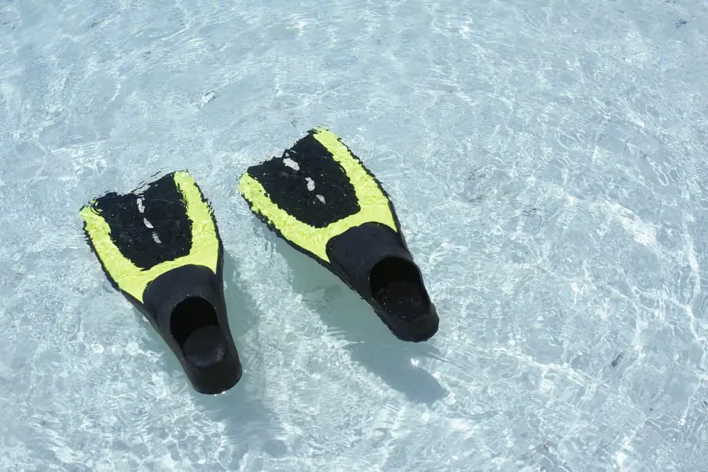 Best fins for snorkeling