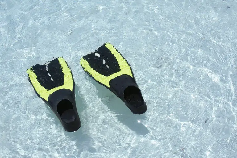 Best fins for snorkeling