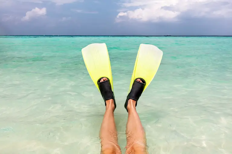 Long Snorkel Fins