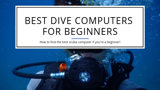 Best Dive Computer for beginning divers