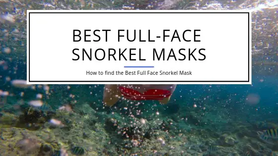 Best Full Face Snorkeling Masks