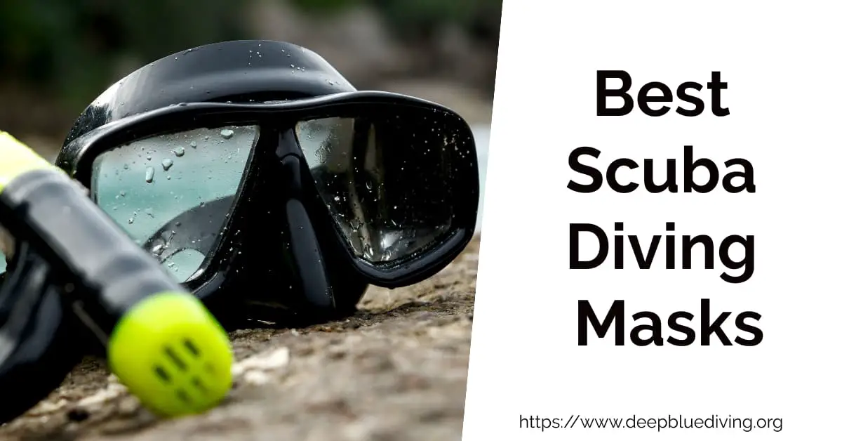 Best Scuba Diving Masks Reviews and Buying Advice (2023)