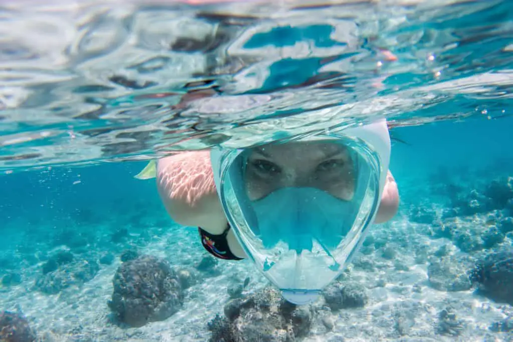 Enjoying the 180 degree view with a full face snorkel mask