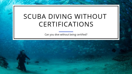 Scuba Diving Without Certifications