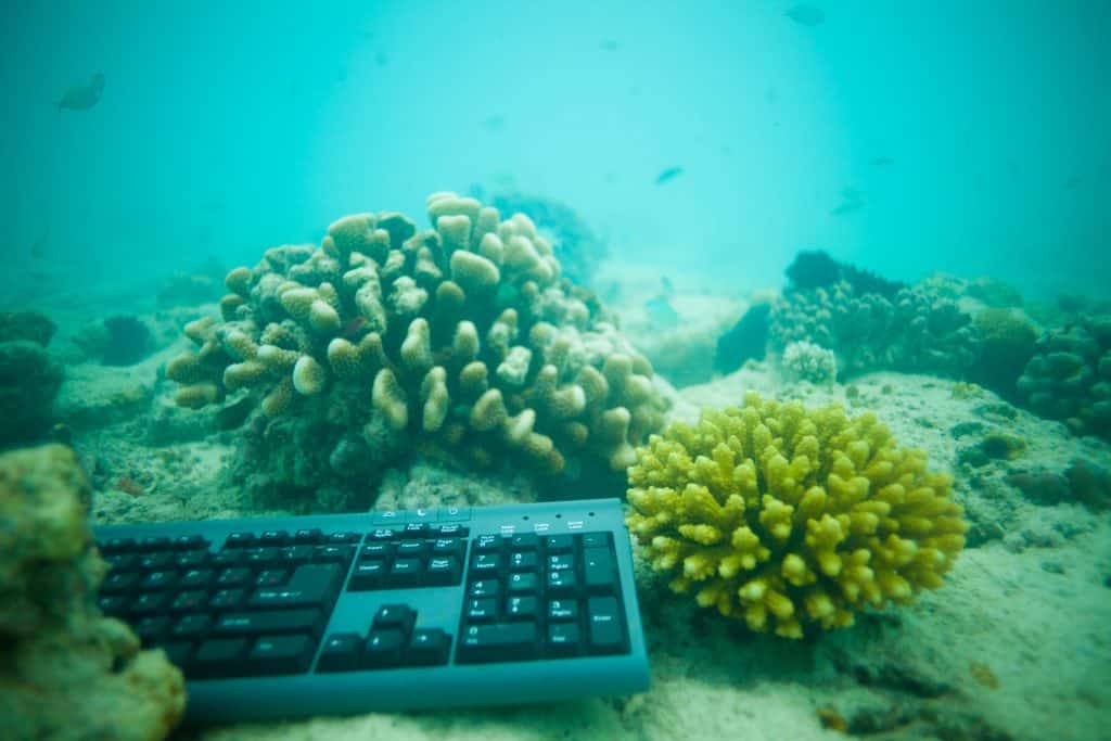 Dive computer working hard underwater