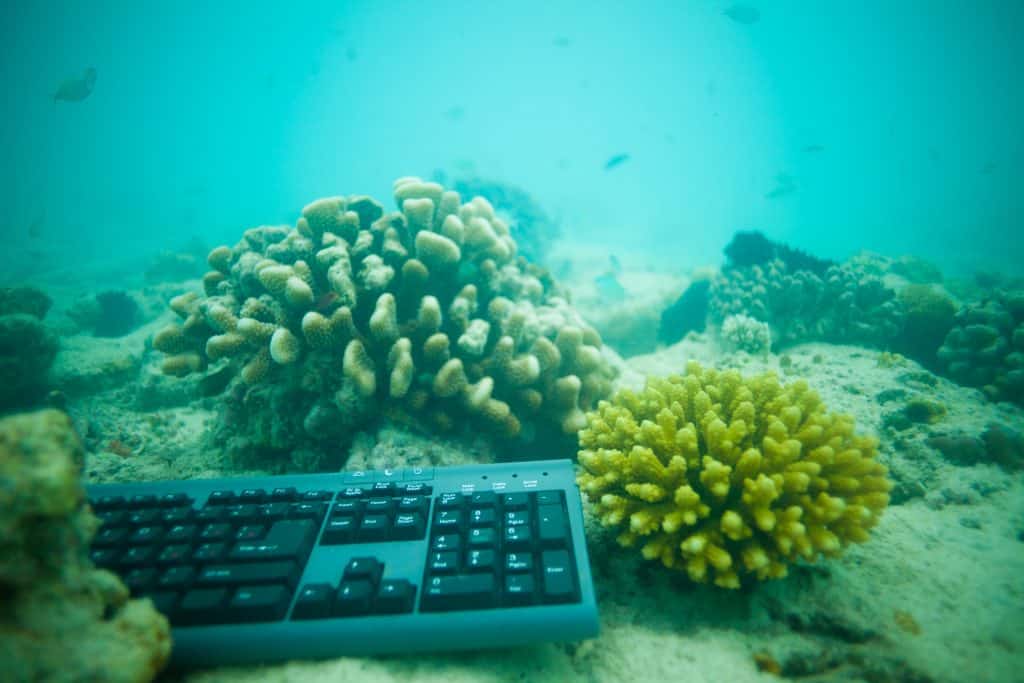 Dive computer working hard underwater