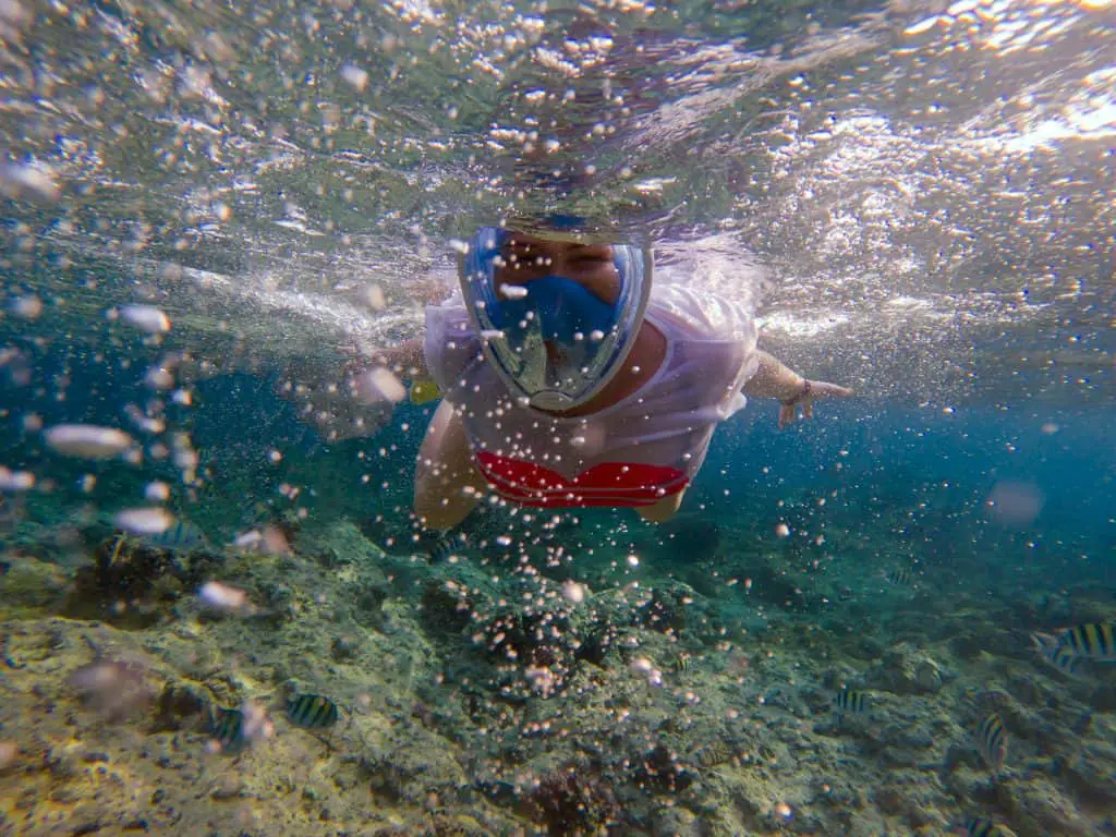 Snorkel Goggles Allowing to Breathe through Mouth and Nose