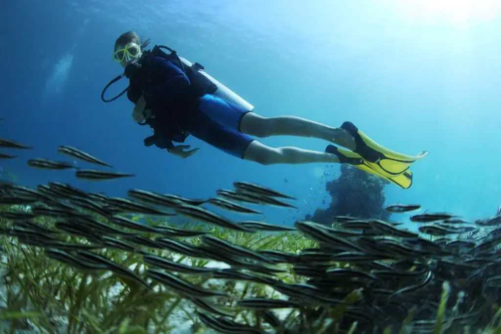 Best fins for scuba diving supporting every technique including the frog kick