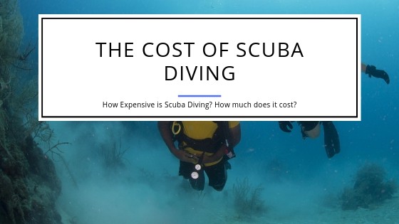 Cost of Scuba Diving