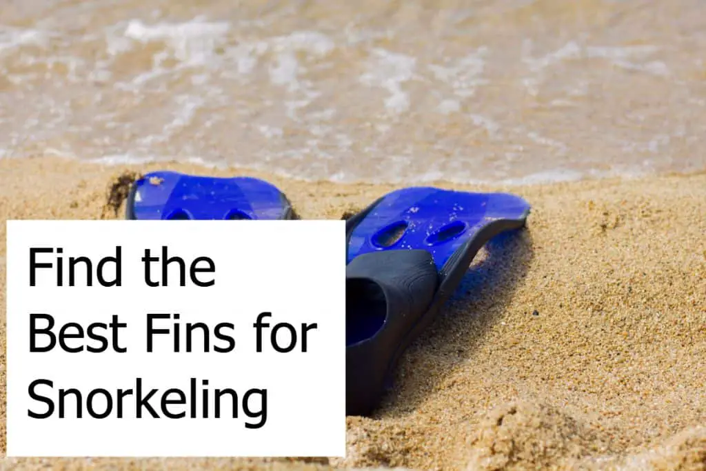 Find the Best Snorkel Fins