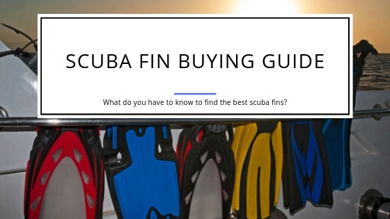 Scuba Fin Buying Guide