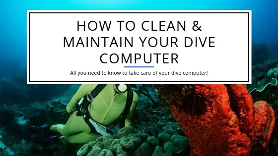 How to Maintain and Clean your Dive Computer
