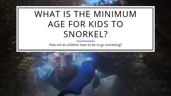 Minimum Age for Kids to Snorkel