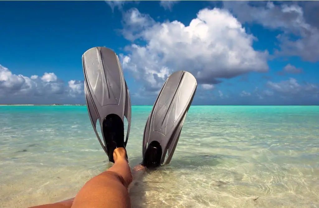 Travel fins for Scuba Diving