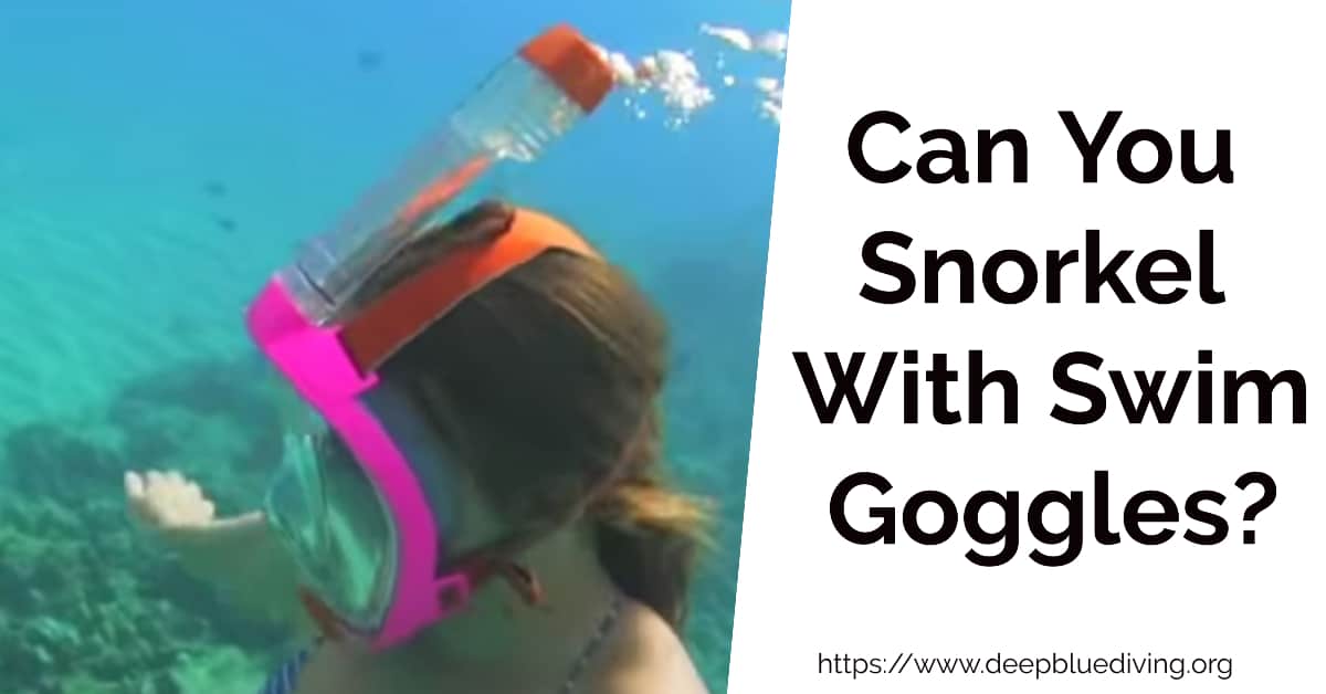 Can You Snorkel With Swim Goggles - How do you use snorkelling goggles?