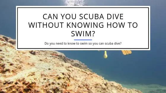 Can you Scuba Dive Without Knowing How to Swim