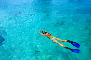 Long Fins that have the heel open or full foot for snorkeling
