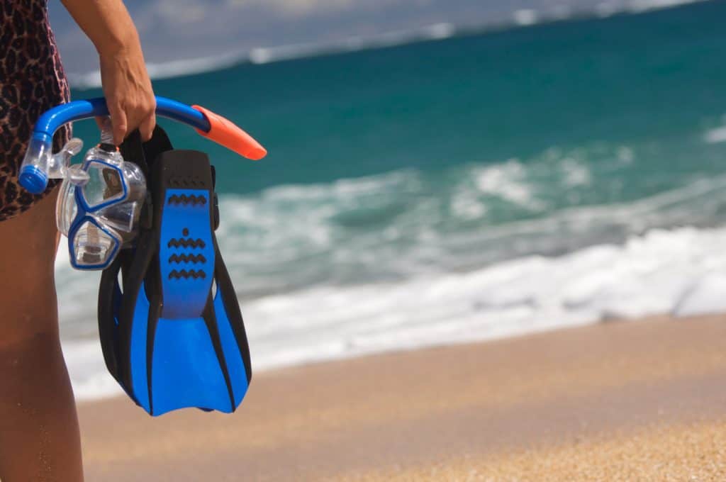 Full Foot snorkel fins or flippers with heels that are open and secured with a strap?