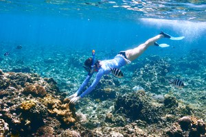 Regular Fins to make easier kicks for snorkeling