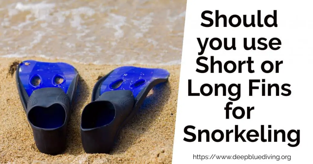 Which fins are better for snorkeling? Long or Short Bladed Fins? Or even go with splits?
