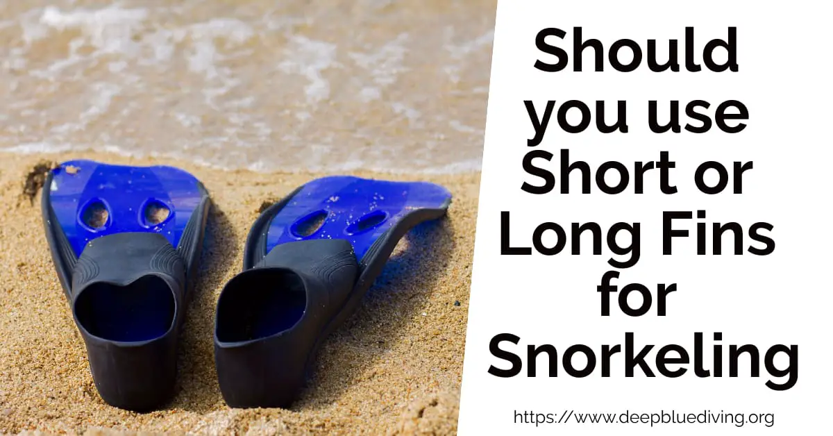 Which fins are better for snorkeling? Long or Short Blade Fins? Or even go with splits?