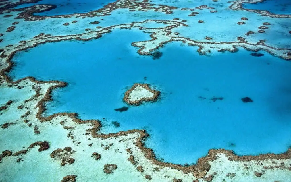 Snorkeling Improves Breathing