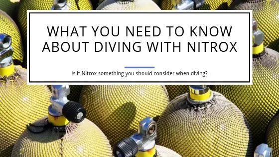 What you need to know about diving with nitrox