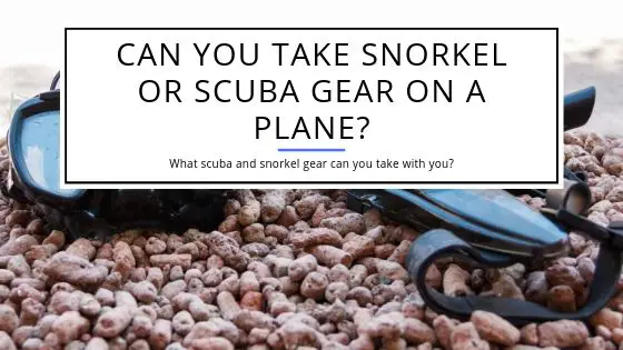 Can You Take Snorkel or Scuba Gear On a Plane