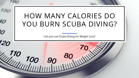 How Many Calories do you Burn Scuba Diving