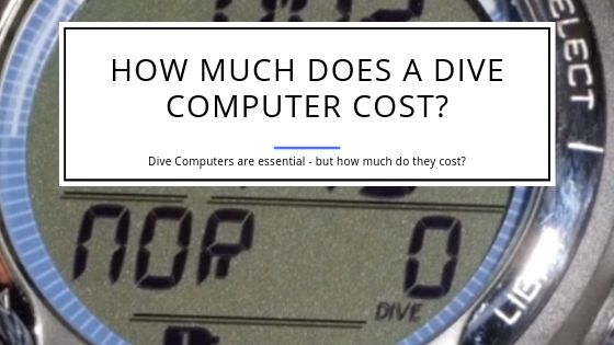 How Much Does a Dive Computer Cost