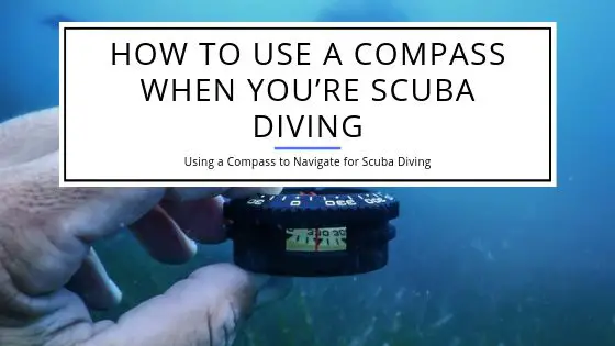 How to Use a Compass When You’re Scuba Diving