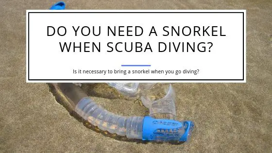 Do You Need a Snorkel When Scuba Diving