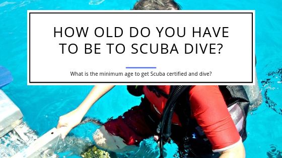 How Old Do You Have to Be to Scuba Dive