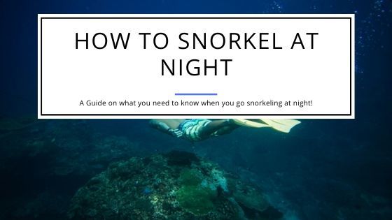 Guide on How to Snorkel at Night