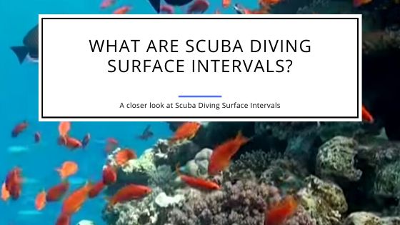 Scuba Diving Surface Intervals - What Are They