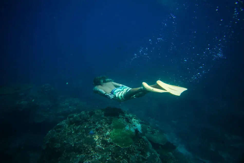 Snorkeling at Night