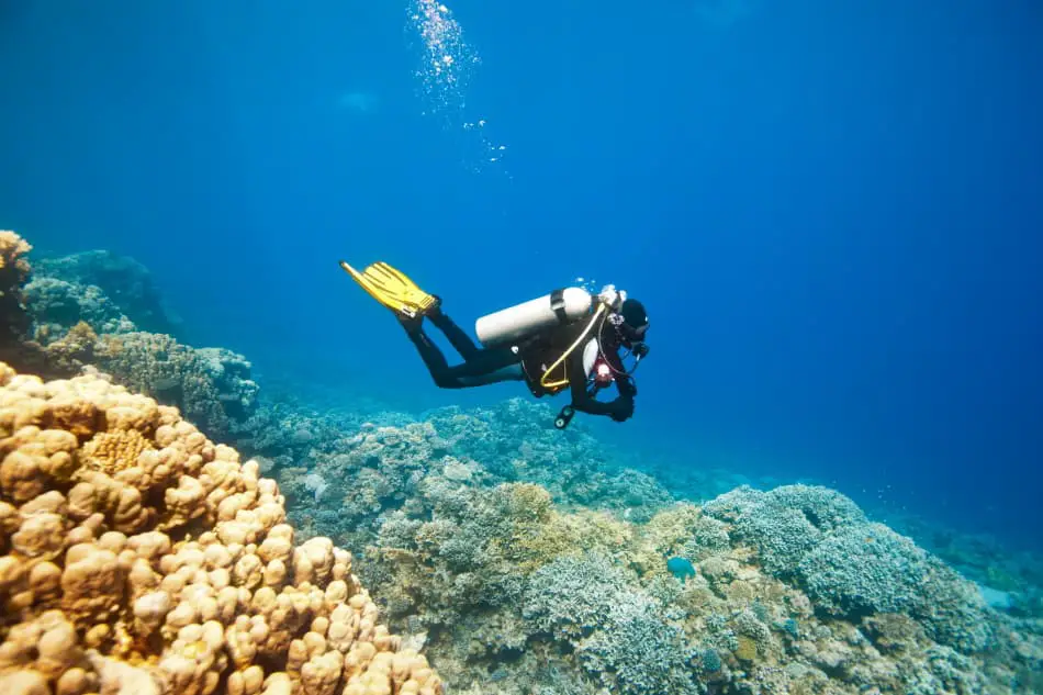 Avoid powerful currents when diving or perform drift diving when you're caught in one