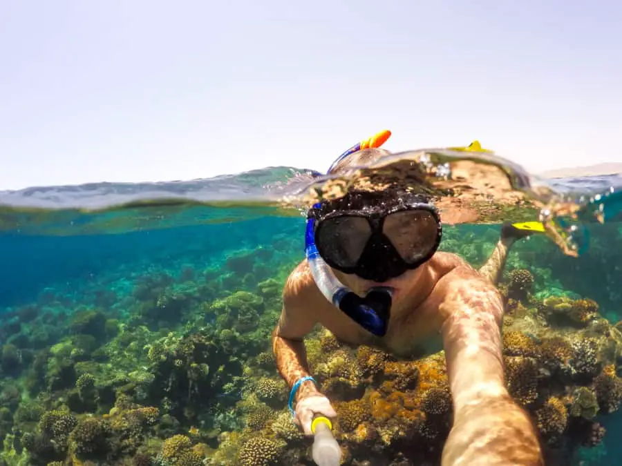 Beginner Guide on how to snorkel