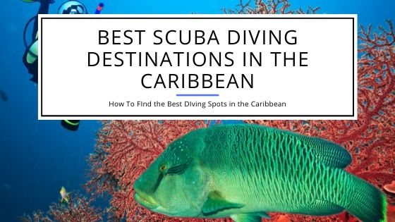 Best Scuba Diving Destinations in the Caribbean