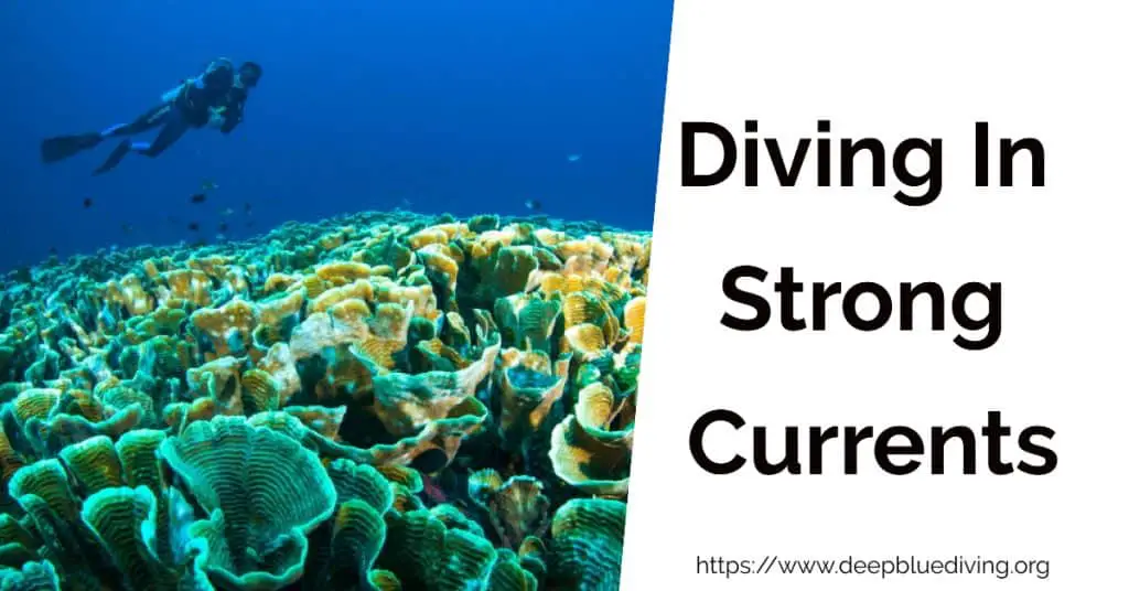How To Dive Safely in Strong Currents