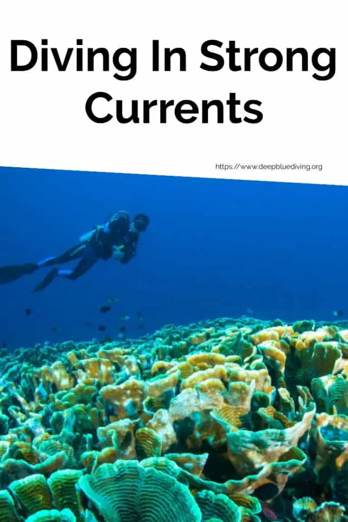 How To Dive Safely in Strong Currents