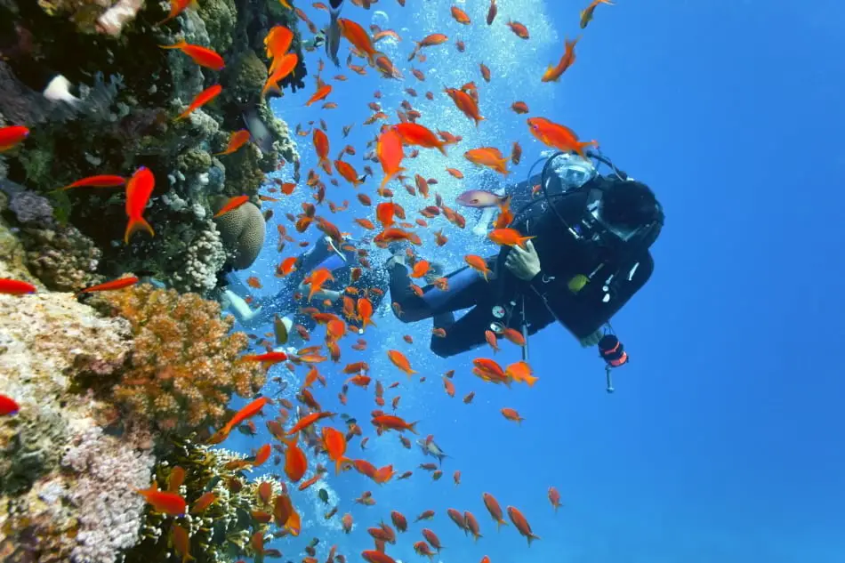 Dive in currents - Effortless drift diving