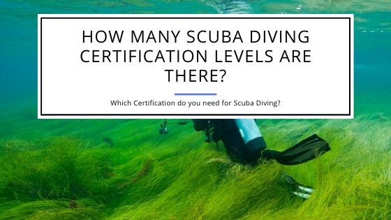 How Many Scuba Diving Certification Levels Are There