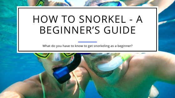 How to Snorkel - A Guide for Beginners