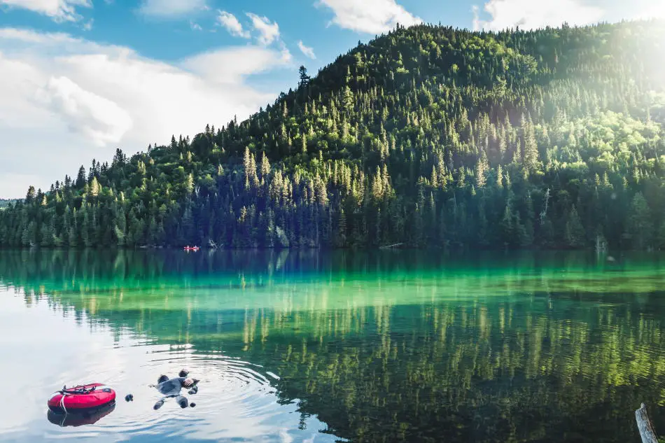 Lake Diving in fresh water compared to salt water